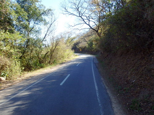 Typical road and flora for the Ruta 9 river Valley (Rio la Caldera).